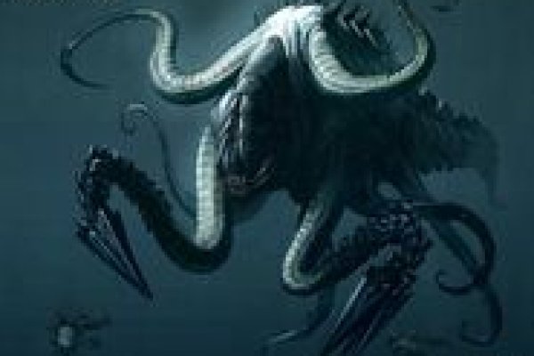 Kraken телеграмм